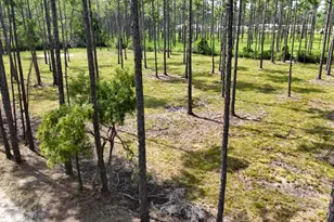 Lot 4 Foxmire Farm Rd, Santa Rosa Beach, FL 32459 - Photo 12