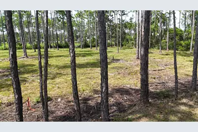 Lot 4 Foxmire Farm Rd, Santa Rosa Beach, FL 32459 - Photo 8