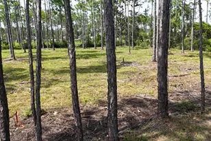 Lot 4 Foxmire Farm Rd, Santa Rosa Beach, FL 32459 - Photo 8