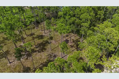 Lot 4 Foxmire Farm Rd, Santa Rosa Beach, FL 32459 - Photo 2
