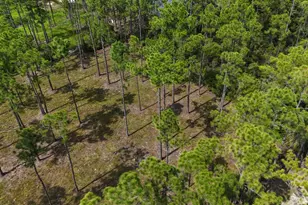 Lot 4 Foxmire Farm Rd, Santa Rosa Beach, FL 32459 - Photo 2