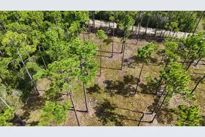 Lot 4 Foxmire Farm Rd, Santa Rosa Beach, FL 32459 - Photo 6