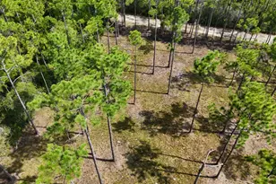 Lot 4 Foxmire Farm Rd, Santa Rosa Beach, FL 32459 - Photo 6