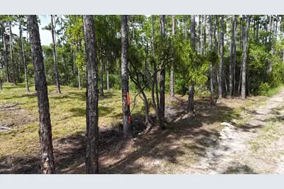 Lot 4 Foxmire Farm Rd, Santa Rosa Beach, FL 32459 - Photo 10