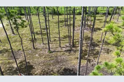 Lot 5 Foxmire Farm Road, Santa Rosa Beach, FL 32459 - Photo 8