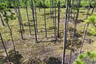 Lot 5 Foxmire Farm Rd, Santa Rosa Beach, FL 32459 - Photo 8