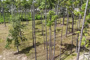 Lot 5 Foxmire Farm Rd, Santa Rosa Beach, FL 32459 - Photo 10