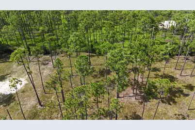 Lot 5 Foxmire Farm Road, Santa Rosa Beach, FL 32459 - Photo 4