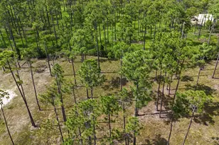 Lot 5 Foxmire Farm Rd, Santa Rosa Beach, FL 32459 - Photo 4