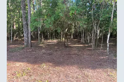 Tbd Sparkleberry Lane, Freeport, FL 32439 - Photo 24