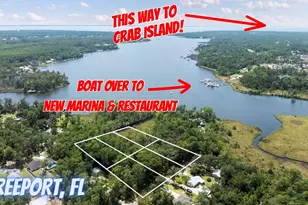 Tbd Sparkleberry Ln, Freeport, FL 32439 - Photo 1