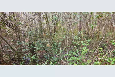 00 NE Second Avenue NE, Crestview, FL 32539 - Photo 14