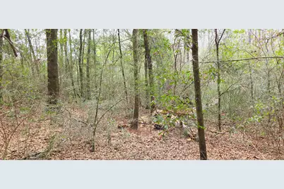 00 NE Second Avenue NE, Crestview, FL 32539 - Photo 10