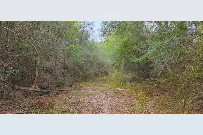 00 NE Second Avenue NE, Crestview, FL 32539 - Photo 4