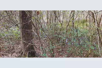 00 NE Second Avenue NE, Crestview, FL 32539 - Photo 12