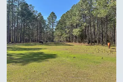 1471 Hwy C 180, Baker, FL 32531 - Photo 70