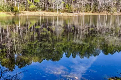 1471 Hwy C 180, Baker, FL 32531 - Photo 64