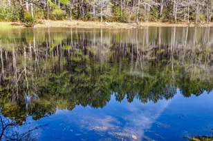 1471 Hwy C 180, Baker, FL 32531 - Photo 64