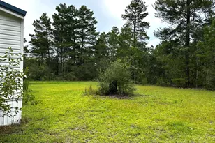 201 Tangelo St, Defuniak Springs, FL 32433 - Photo 2