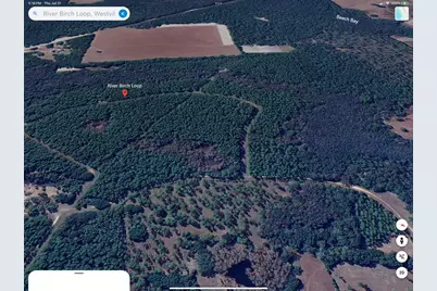 0 River Birch Loop, Westville, FL 32464 - Photo 4