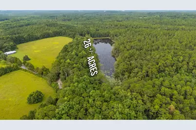 670 Peck Cawthon Road, Defuniak Springs, FL 32435 - Photo 6