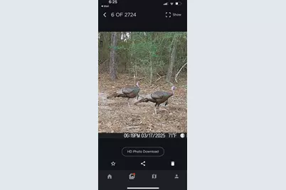 670 Peck Cawthon Road, Defuniak Springs, FL 32435 - Photo 24