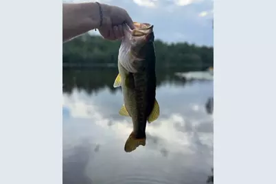 670 Peck Cawthon Road, Defuniak Springs, FL 32435 - Photo 18