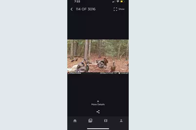 670 Peck Cawthon Road, Defuniak Springs, FL 32435 - Photo 20