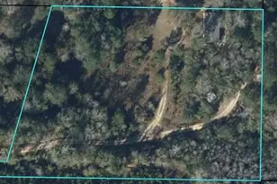 2852 Feral Ln, Caryville, FL 32427 - Photo 44