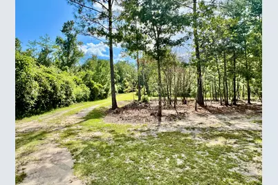 2852 Feral Lane, Caryville, FL 32427 - Photo 34