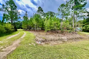 2852 Feral Ln, Caryville, FL 32427 - Photo 38
