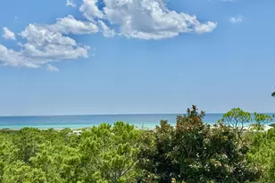 343 Cypress Dr, Santa Rosa Beach, FL 32459 - Photo 54