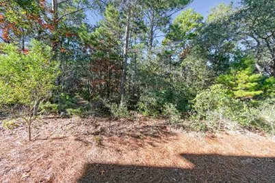 209 Milestone Drive #B, Inlet Beach, FL 32461 - Photo 28