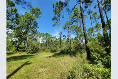 Lot 8 Delbert Lane, Santa Rosa Beach, FL 32459 - Photo 2