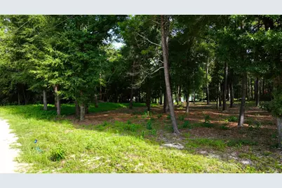 Tbd Country Boulevard, Defuniak Springs, FL 32433 - Photo 8