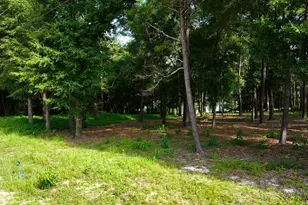 Tbd Country Blvd, Defuniak Springs, FL 32433 - Photo 8