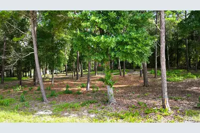 Tbd Country Boulevard, Defuniak Springs, FL 32433 - Photo 6