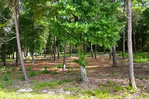 Tbd Country Blvd, Defuniak Springs, FL 32433 - Photo 6