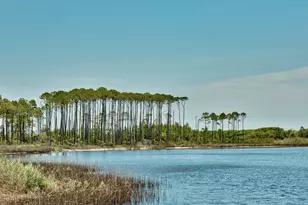 164 Pond Cypress Way, Santa Rosa Beach, FL 32459 - Photo 28