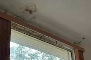 2552 Palm Shores Dr, Shalimar, FL 32579 - Photo 26