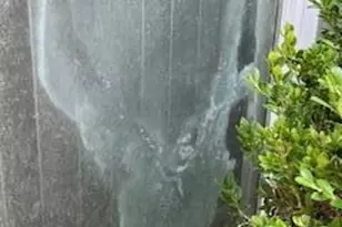 2552 Palm Shores Dr, Shalimar, FL 32579 - Photo 24