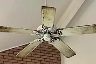 2552 Palm Shores Dr, Shalimar, FL 32579 - Photo 44