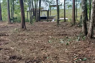 305 Portland Park Rd, Freeport, FL 32439 - Photo 1