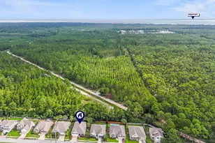 195 Lullaby Loop, Santa Rosa Beach, FL 32459 - Photo 46