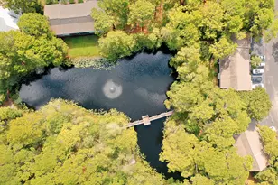 125 Cassine Garden Cir, Santa Rosa Beach, FL 32459 - Photo 56