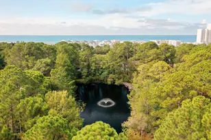 125 Cassine Garden Cir, Santa Rosa Beach, FL 32459 - Photo 64