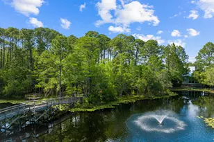 125 Cassine Garden Cir, Santa Rosa Beach, FL 32459 - Photo 38