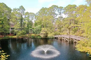 125 Cassine Garden Cir, Santa Rosa Beach, FL 32459 - Photo 60