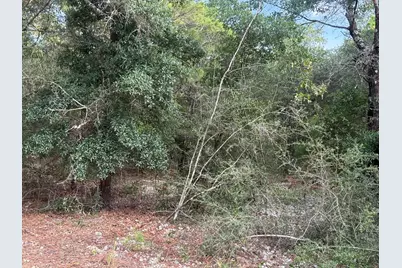 Lot 7 Margaret Boulevard, Defuniak Springs, FL 32433 - Photo 6