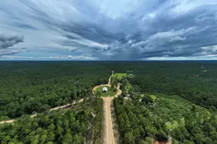 817 N Planters Dr N, Laurel Hill, FL 32567 - Photo 40